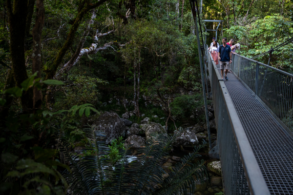 Daintree Tours bridge