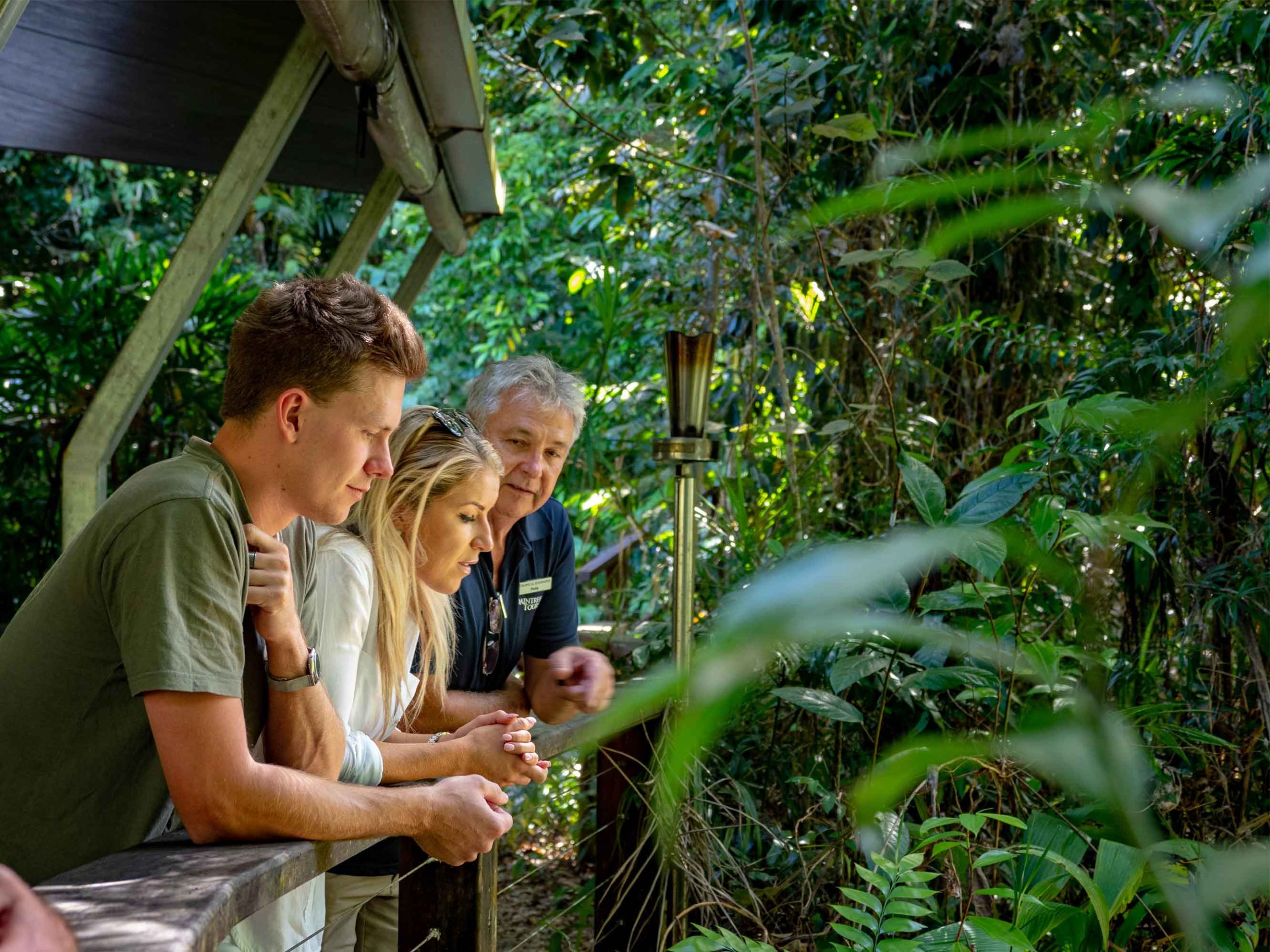 Daintree Rainforest Tours