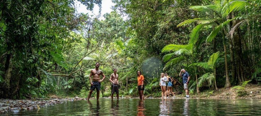 People standing in water in the Daintree Rainforest