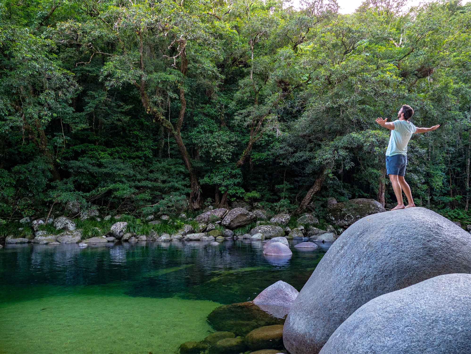 Daintree Tours Charters