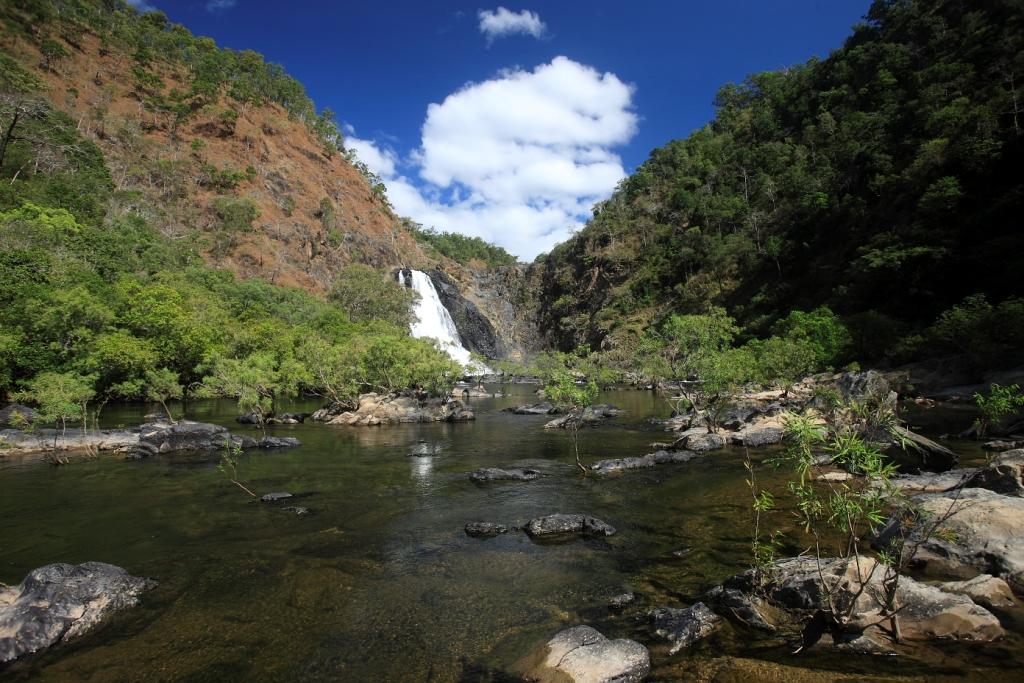 Outback bloomfield falls daintree tours charters