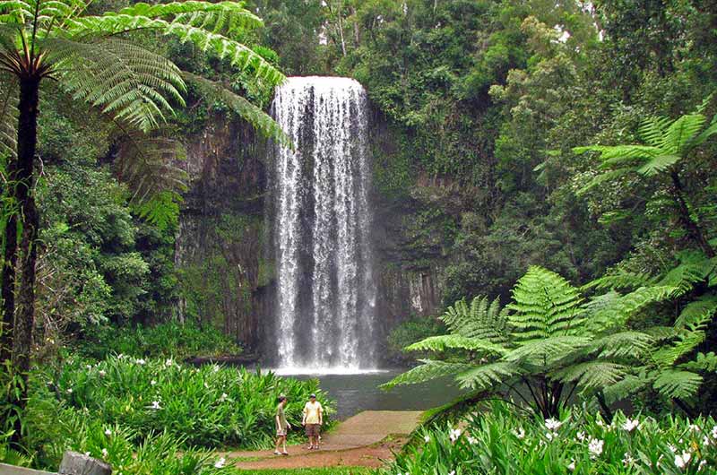 Charters Atherton Tablelands