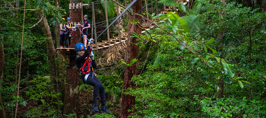 Treetops Ultimate Daintree Tour