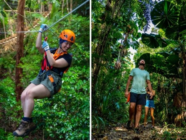 Ultimate daintree zipline walk tour