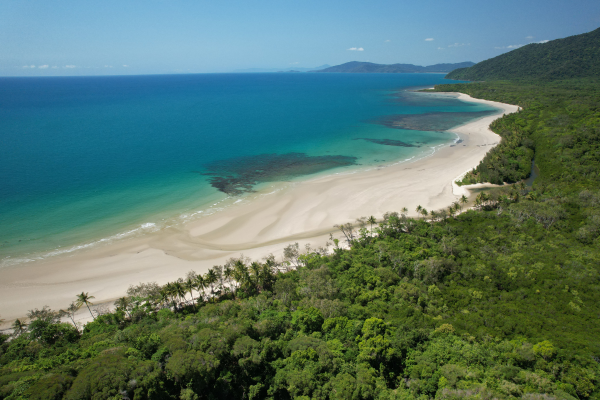 Daintree 4