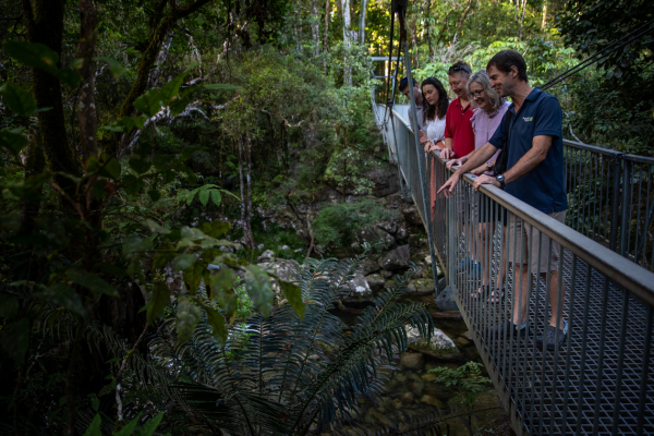 Daintree Tours 1