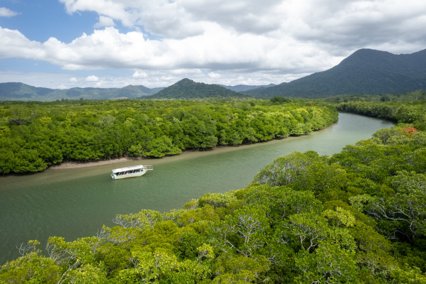 Daintree Tours 8