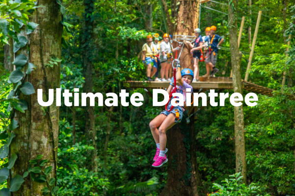 Ultimate Daintree